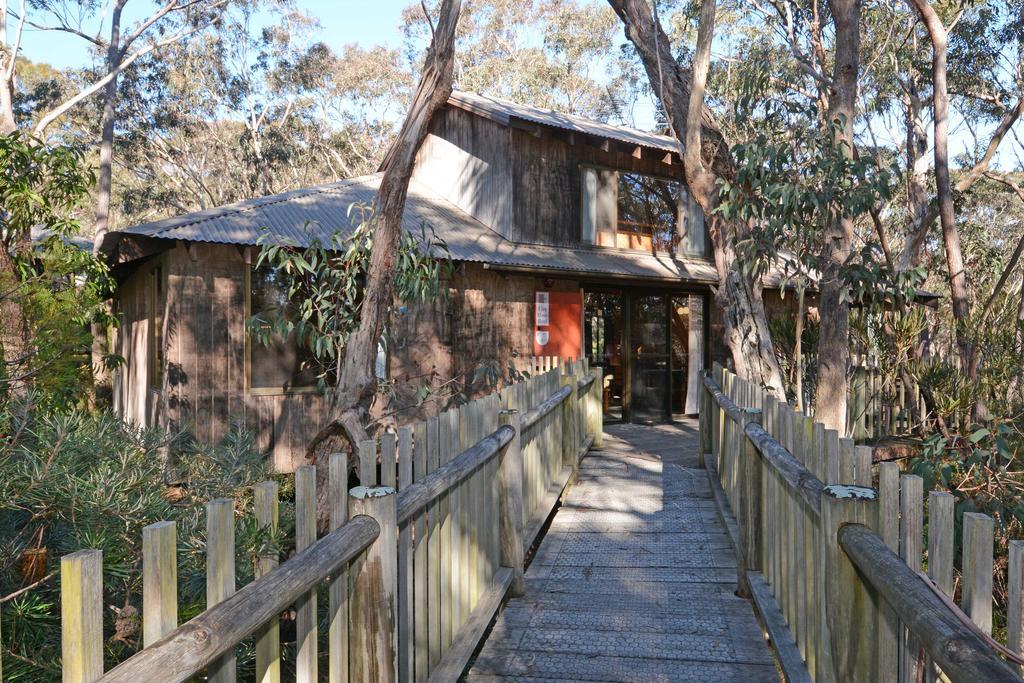 Jemby Rinjah Ecolodge Блекхийт Стая снимка